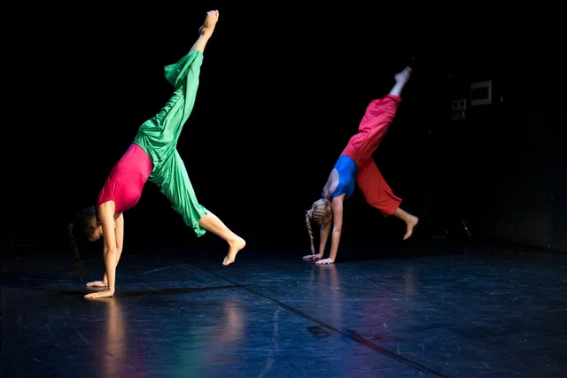 Unfold Motion Dance Company (Timișoara) 