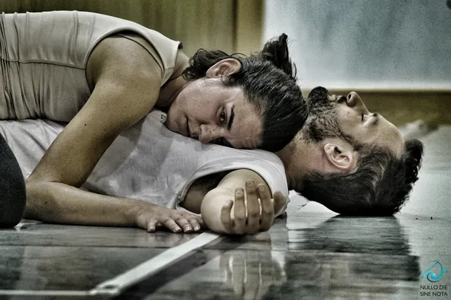 Unfold Motion Dance Company (Timișoara) 